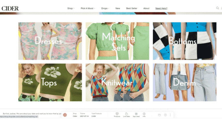 FunPinPin Class How Much Does it Cost to Start an Ecommerce Business?