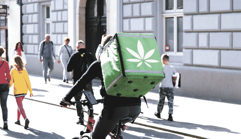 Weed Delivery in Toronto Weed Delivery in Toronto