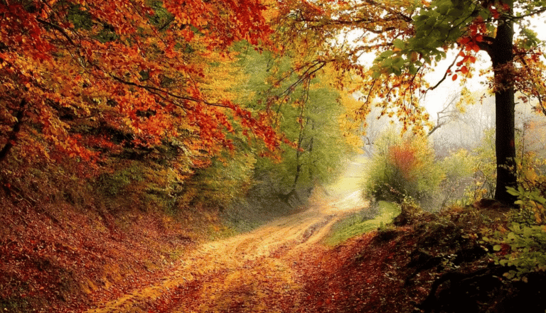 The Best Autumn Destinations In The World