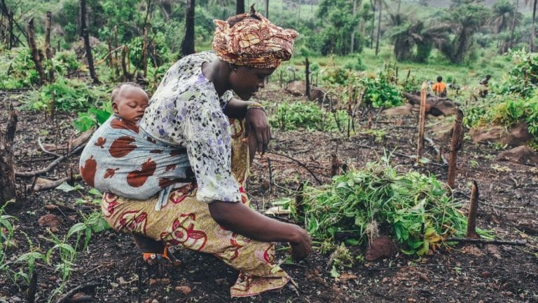 Breaking The Poverty Cycle Breaking The Poverty Cycle