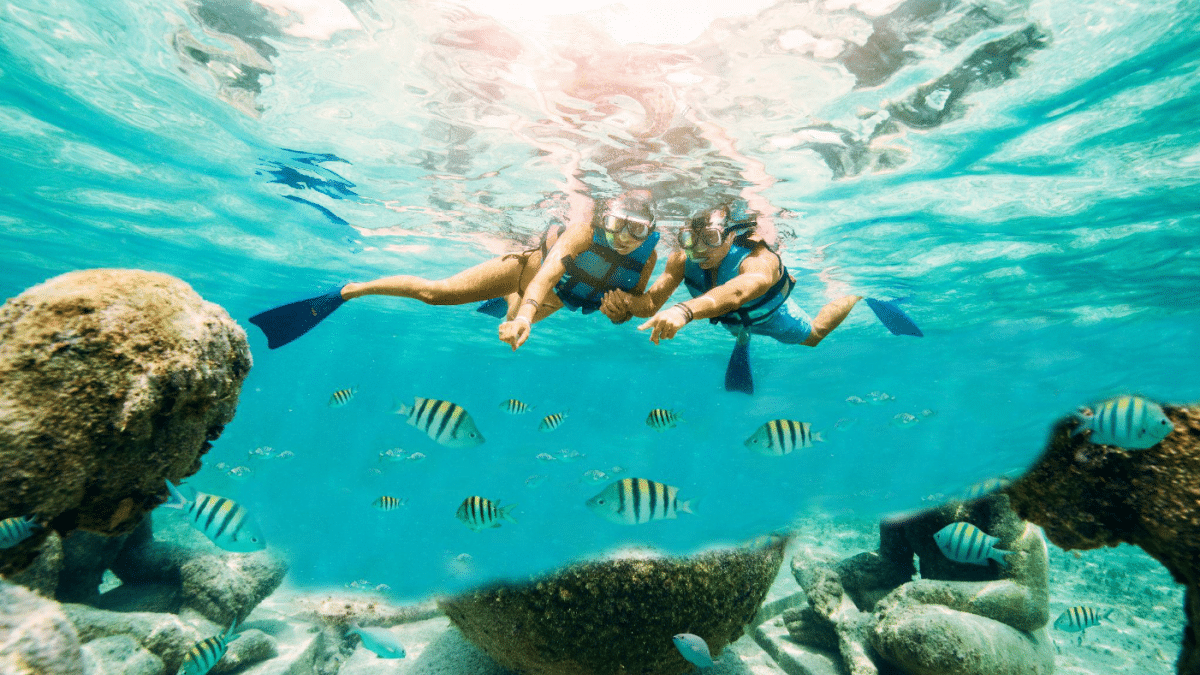 Snorkeling in Cancun Isla Mujeres A Guide to Garrafon Park and