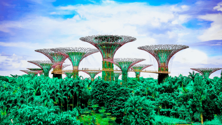 Unwind in Nature Singapore's Best Parks for a Tranquil Escape